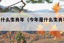 今年是什么生肖年（今年是什么生肖年呀2023）