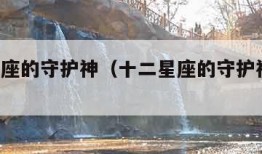 十二星座的守护神（十二星座的守护神兽 排名）