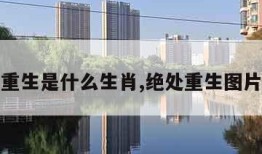 绝处重生是什么生肖,绝处重生图片大全