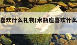 水瓶座喜欢什么礼物(水瓶座喜欢什么礼物呢)
