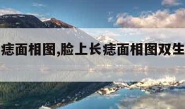 脸上长痣面相图,脸上长痣面相图双生什么意思