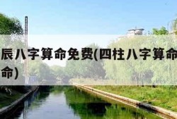 四柱生辰八字算命免费(四柱八字算命最准的免费算命)