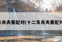 十二生肖夫妻配对(十二生肖夫妻配对对象)