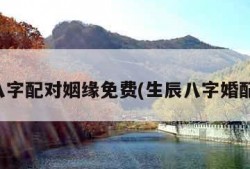 生辰八字配对姻缘免费(生辰八字婚配免费)