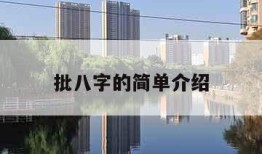批八字的简单介绍