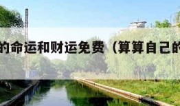 算算我的命运和财运免费（算算自己的命运免费）