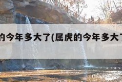 属虎的今年多大了(属虎的今年多大了1986)