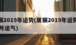 属猴2019年运势(属猴2019年运势运11月运气)