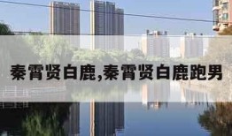 秦霄贤白鹿,秦霄贤白鹿跑男