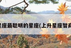 上升星座最聪明的星座(上升星座智商排行)