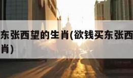 欲钱买东张西望的生肖(欲钱买东张西望的生肖打一肖)