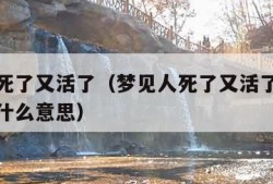 梦见人死了又活了（梦见人死了又活了还和我说话是什么意思）