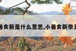 小暑食新是什么意思,小暑食新祭五谷