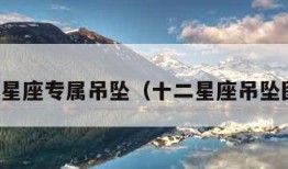 十二星座专属吊坠（十二星座吊坠图片）