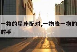 一物降一物的星座配对,一物降一物的星座配对狮子射手