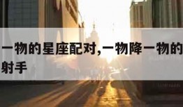 一物降一物的星座配对,一物降一物的星座配对狮子射手