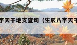 生辰八字天干地支查询（生辰八字天干地支查询APP）