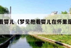 梦见抱着婴儿（梦见抱着婴儿在怀里是什么预兆）