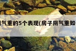 房子阴气重的5个表现(房子阴气重如何化解)