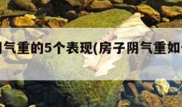 房子阴气重的5个表现(房子阴气重如何化解)