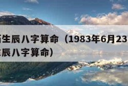 农历生辰八字算命（1983年6月23日农历生辰八字算命）