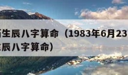 农历生辰八字算命（1983年6月23日农历生辰八字算命）