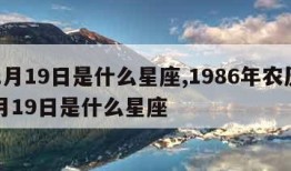 11月19日是什么星座,1986年农历11月19日是什么星座