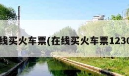 在线买火车票(在线买火车票12306)