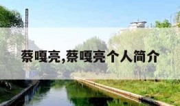 蔡嘎亮,蔡嘎亮个人简介