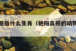 艳阳高照指什么生肖（艳阳高照的动物打一最佳生肖）