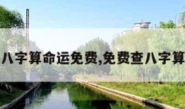 看八字算命运免费,免费查八字算命