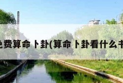 免费算命卜卦(算命卜卦看什么书)