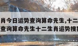 十二生肖今日运势查询算命先生,十二生肖今日运势查询算命先生十二生肖运势搜狐网