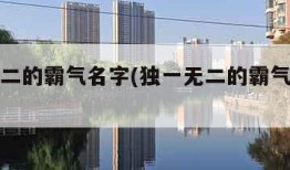 独一无二的霸气名字(独一无二的霸气名字六个字)
