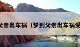 梦到父亲出车祸（梦到父亲出车祸受重伤）