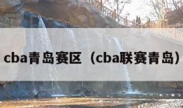 cba青岛赛区（cba联赛青岛）