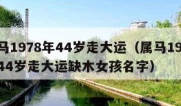 属马1978年44岁走大运（属马1978年44岁走大运缺木女孩名字）