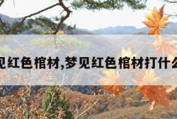 梦见红色棺材,梦见红色棺材打什么奖