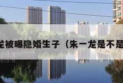 朱一龙被曝隐婚生子（朱一龙是不是隐婚）