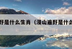 漫山遍野是什么生肖（漫山遍野是什么生肖动物?）