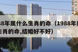 1988年属什么生肖的命（1988年属什么生肖的命,结婚好不好）