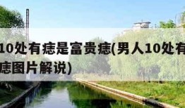 男人10处有痣是富贵痣(男人10处有痣是富贵痣图片解说)