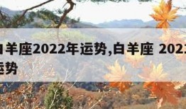 白羊座2022年运势,白羊座 2021 运势