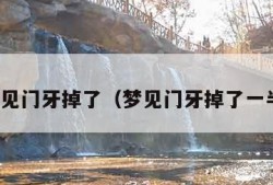 梦见门牙掉了（梦见门牙掉了一半）