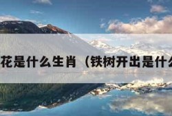 铁树开花是什么生肖（铁树开出是什么生肖）