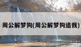 周公解梦狗(周公解梦狗追我)