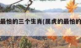 属虎的最怕的三个生肖(属虎的最怕的三个生肖男)