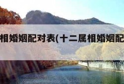 十二属相婚姻配对表(十二属相婚姻配对表大全)