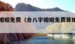合八字婚姻免费（合八字婚姻免费算婚姻婚姻配对）