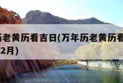 万年历老黄历看吉日(万年历老黄历看吉日2024年2月)